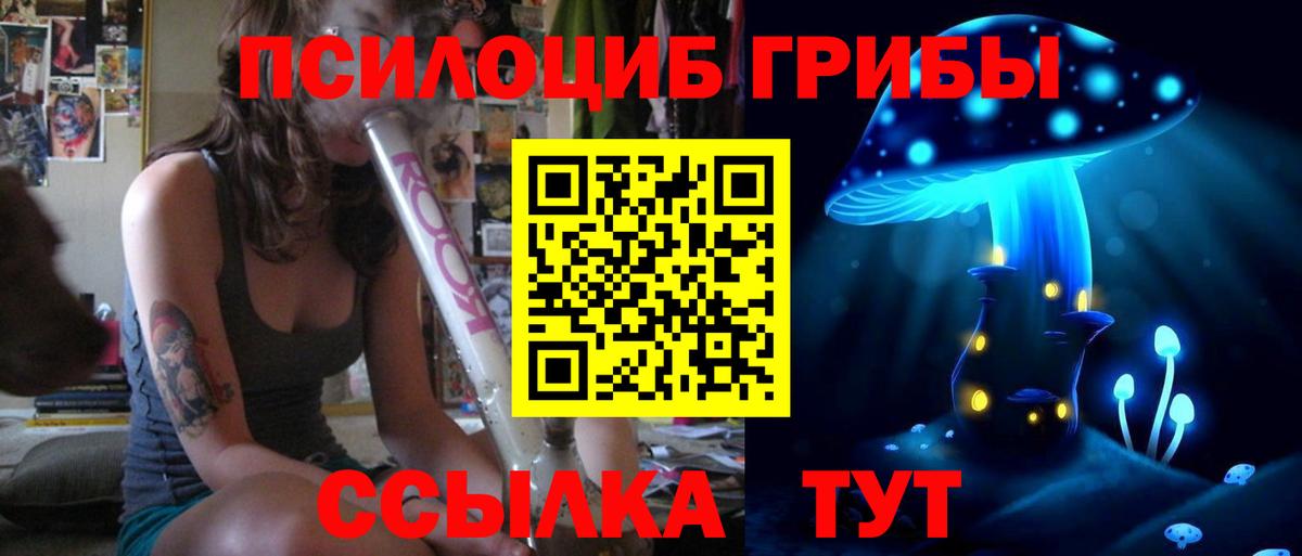 Галлюциногенные грибы GOLDEN TEACHER  Вход с VPN  Арсеньев 